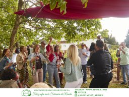 Festival Mar de Tethys 2026 - Bodega Vetas